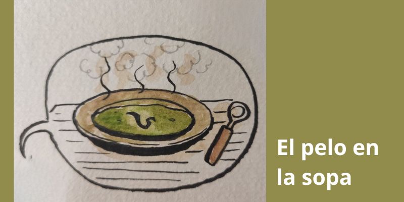 Lee más sobre el artículo El pelo en la sopa
